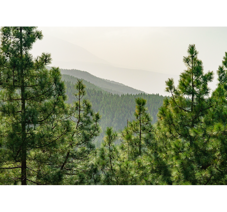 Lush greenery landscape fototapete narava - TenStickers