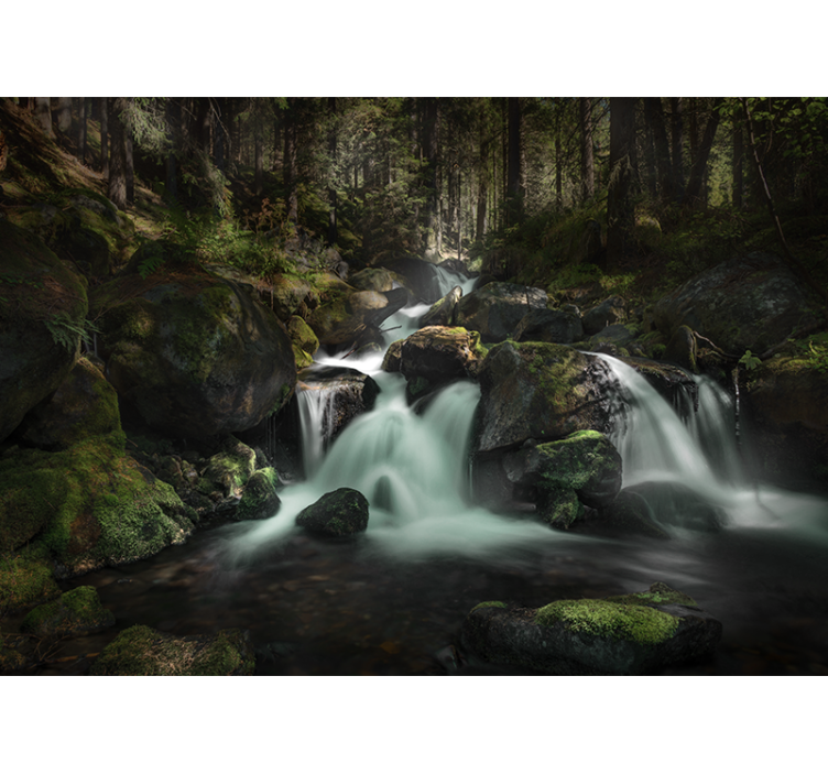Tranquil forest stream slap fototapeta - TenStickers