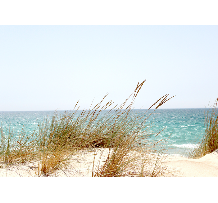 Stenska stena trava na plaži narava - TenStickers