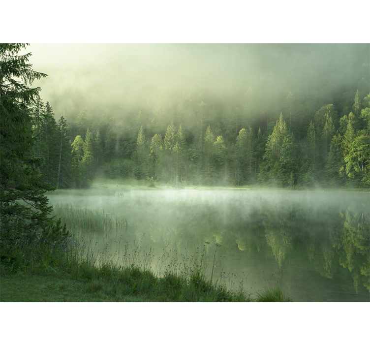 Misty lake reflection fototapete narava - TenStickers