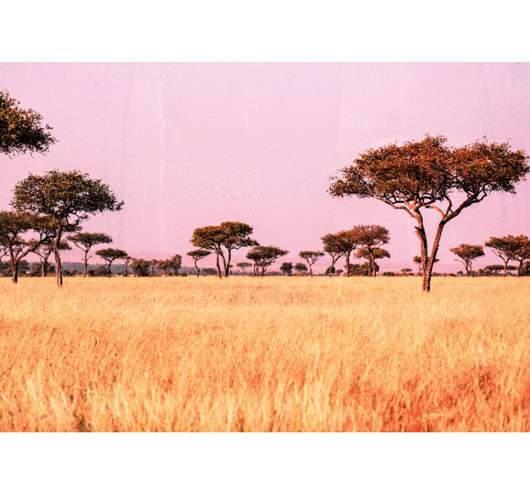 Serene savanna landscape stenske poslikave - TenStickers