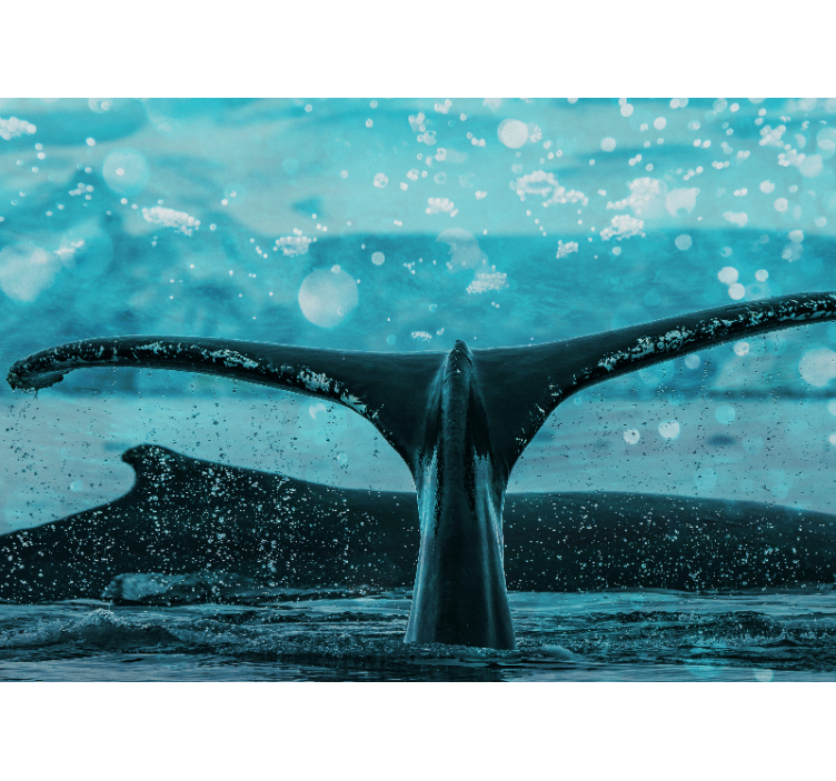 Whale fluke splash fototapete z živalmi - TenStickers