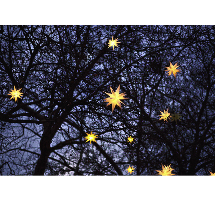Golden starry night božična fototapeta - TenStickers