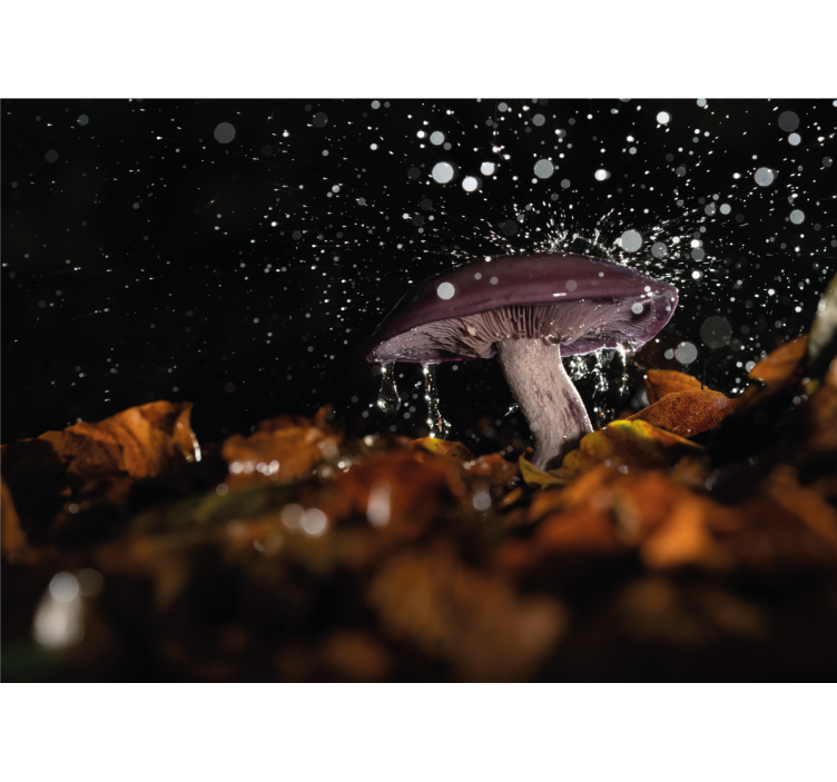Mushroom water splash fototapete narava - TenStickers
