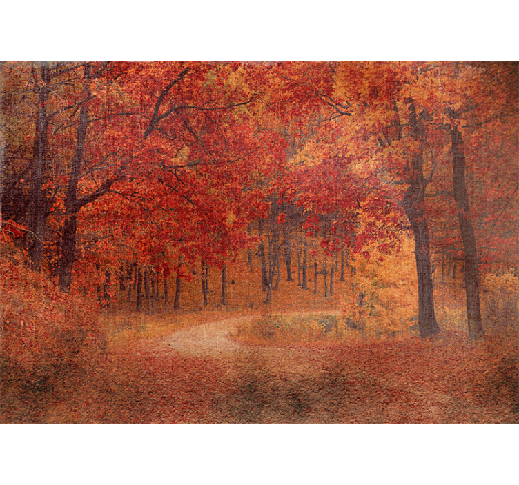 Rustic autumn pathway fototapete narava - TenStickers