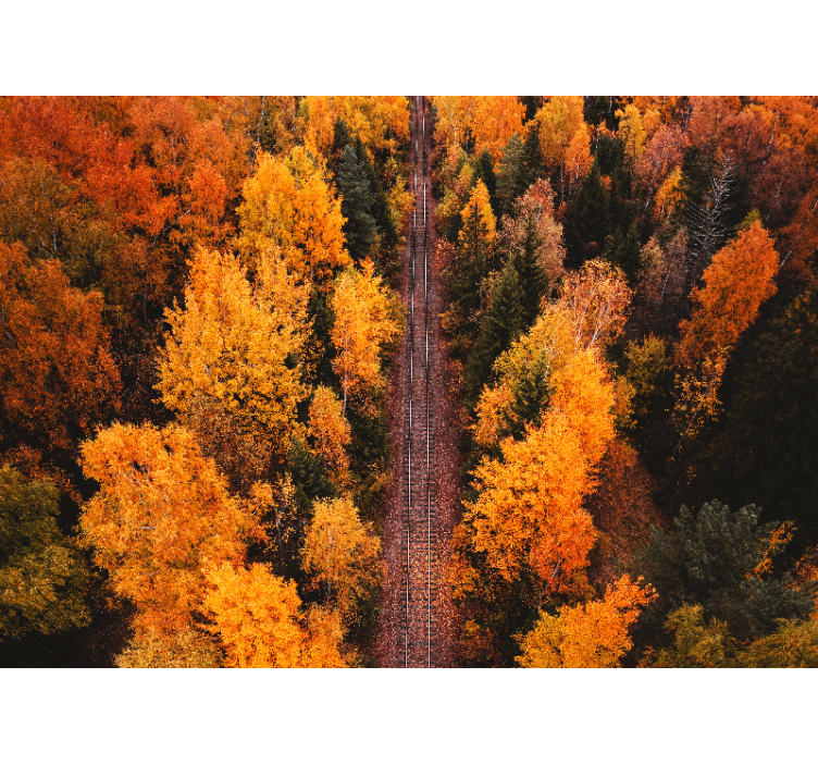 Autumn woodland trail stenske poslikave - TenStickers