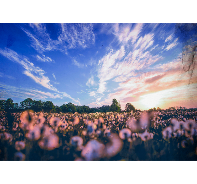Dandelion field serenity fototapete cvetlic - TenStickers