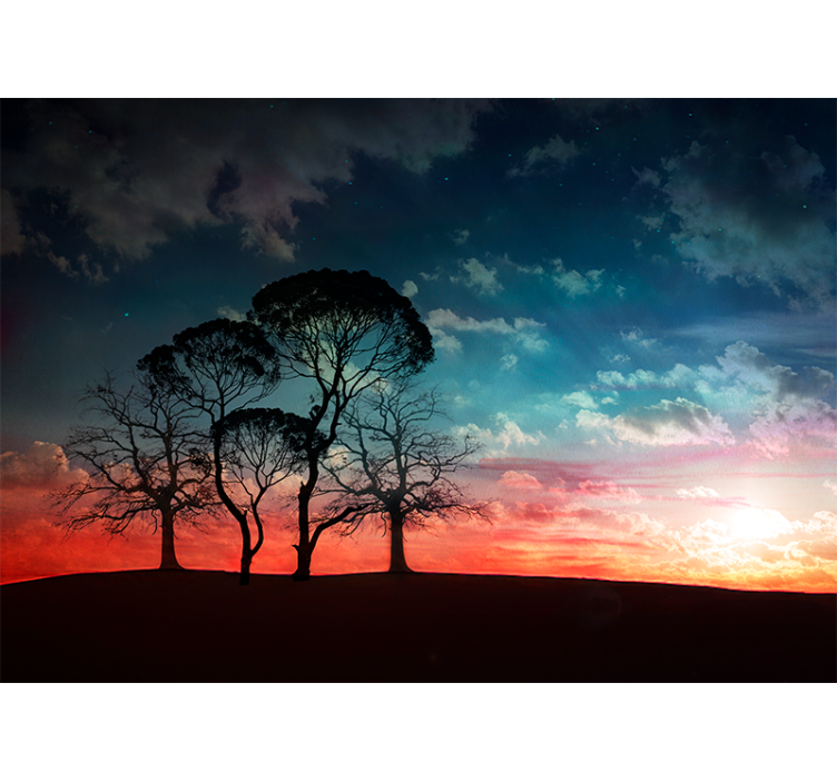 Silhouette tree sunset fototapetai dreves - TenStickers