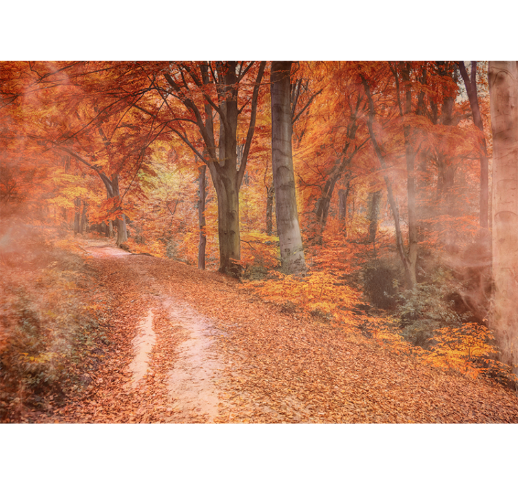 Autumn trail path fototapete narava - TenStickers