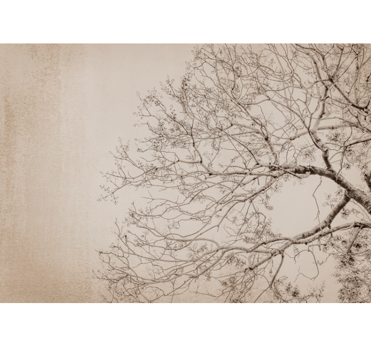 Beautiful branching silhouette fototapet dreves - TenStickers