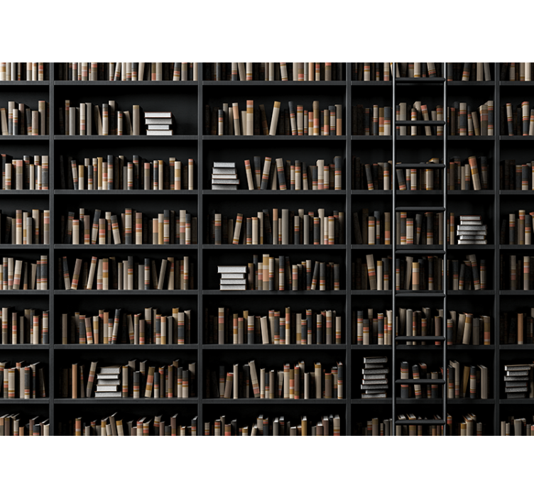 Knjižne police optična iluzija 3d stenska poslikava - TenStickers