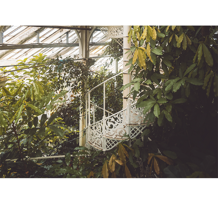 Lush greenery oasis fototapete narava - TenStickers