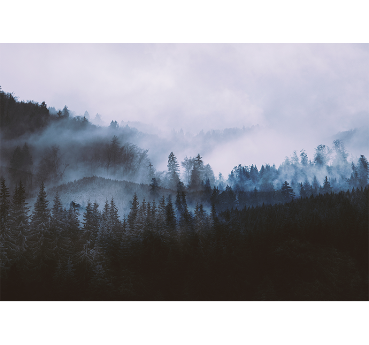 Misty evergreen landscape fototapeta gozd - TenStickers