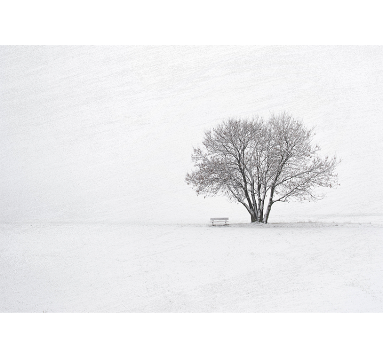 Solitary snowy tree fototapete narava - TenStickers