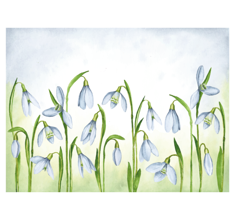 Snowdrop flora drugi fototapeti - TenStickers