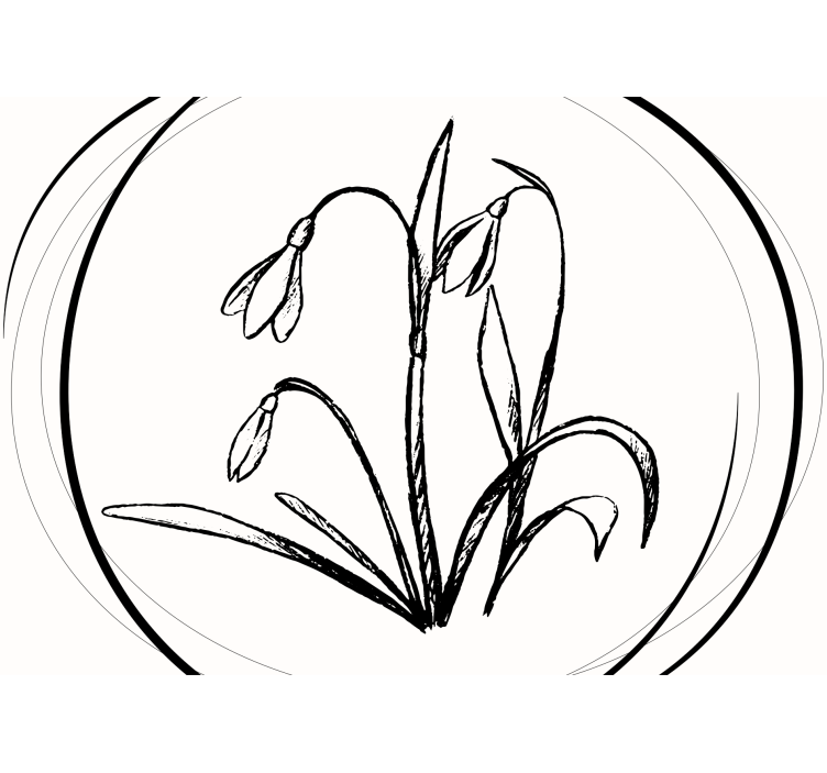 Snowdrop flower outline fototapete cvetje - TenStickers
