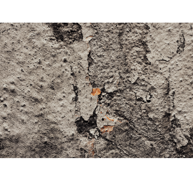 Textured concrete wall fototapete z besedilom in teksturami - TenStickers