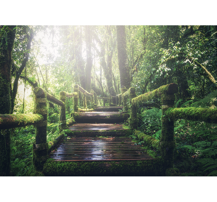 Lush woodland trail fototapete narava - TenStickers