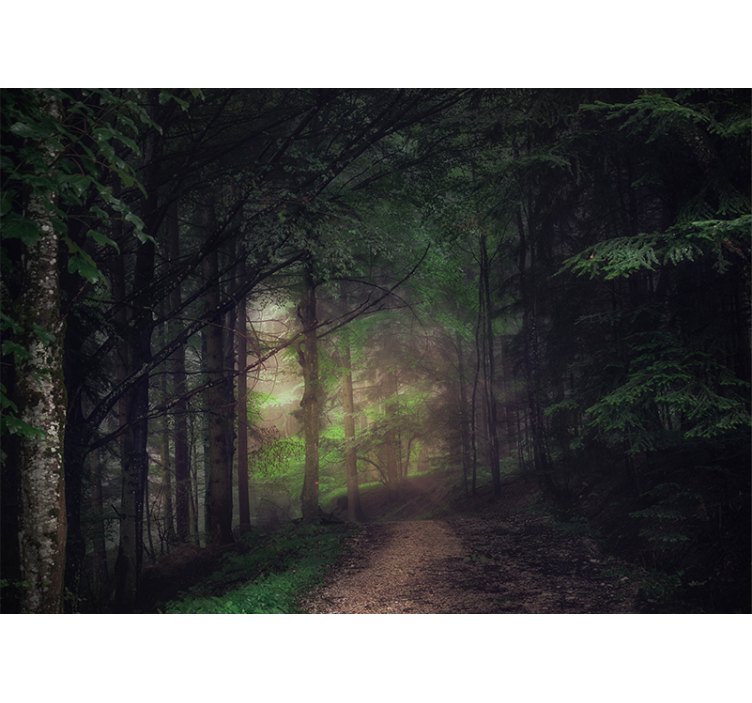 Serene forest pathway fototapeta gozd - TenStickers