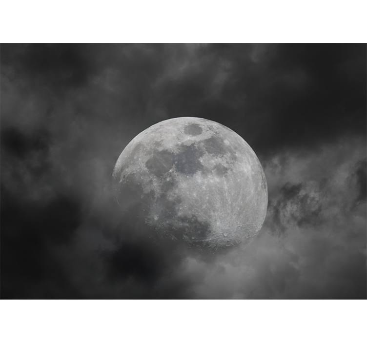 Luminous moon silhouette vesoljski fototapeti - TenStickers