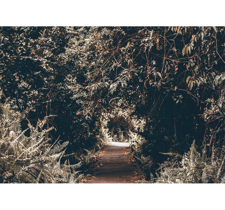 Forest trail path fototapete narava - TenStickers