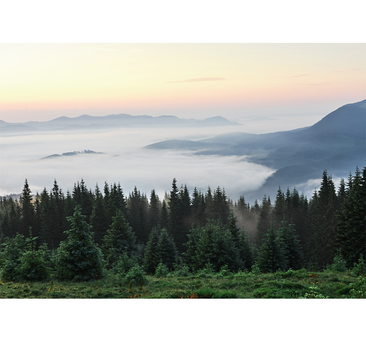 Tranquil mountain vista stenske poslikave - TenStickers