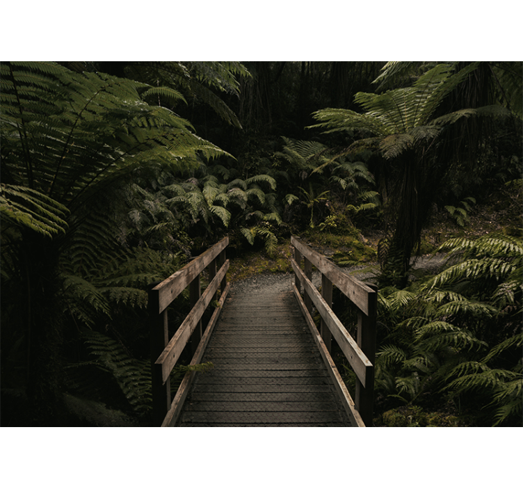 Timber bridge walkway fototapeta gozd - TenStickers