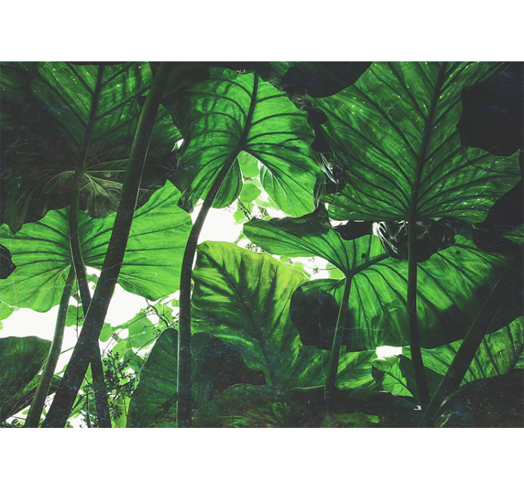 čudovita stenska poslikava v zelenem deževnem gozdu - TenStickers