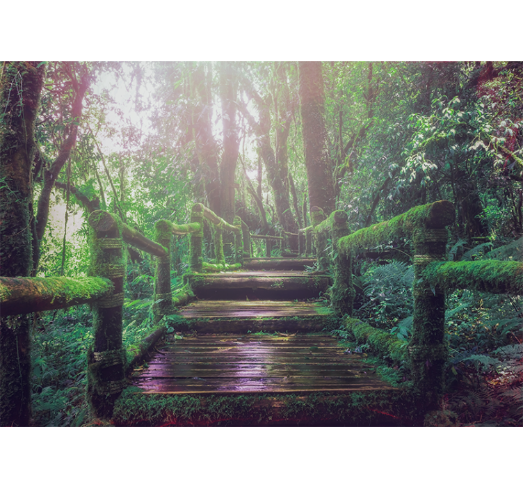Mossy forest path fototapete narava - TenStickers