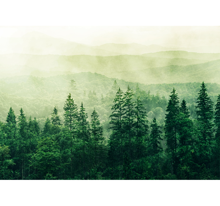 Misty green landscape fototapete narava - TenStickers