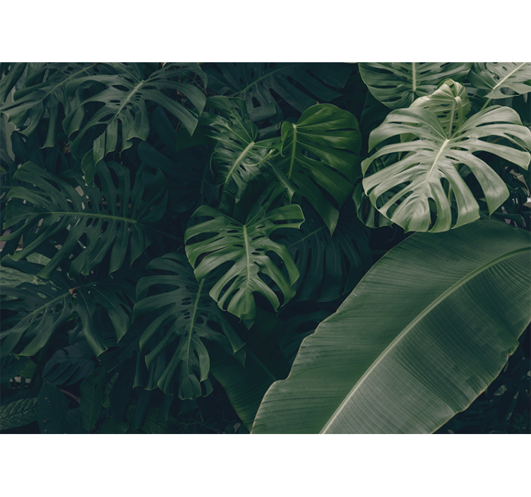 Lively tropical greenery fototapete narava - TenStickers