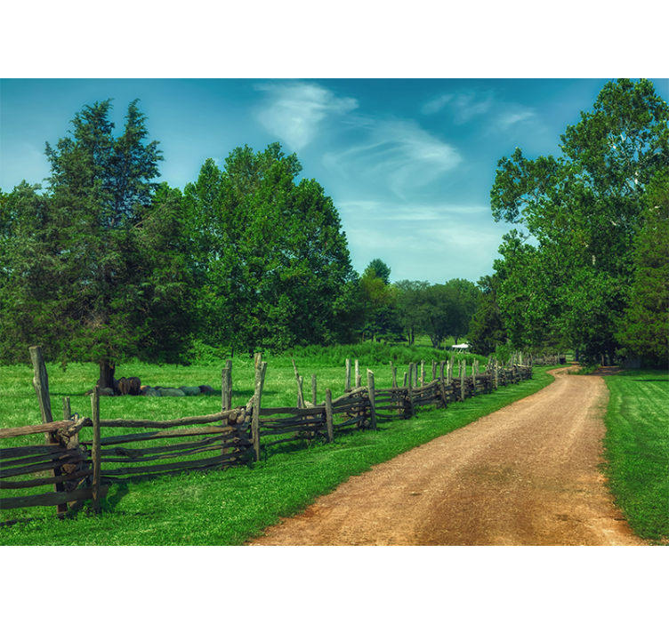 Poletna zelena drevesa gozdna stenska poslikava - TenStickers