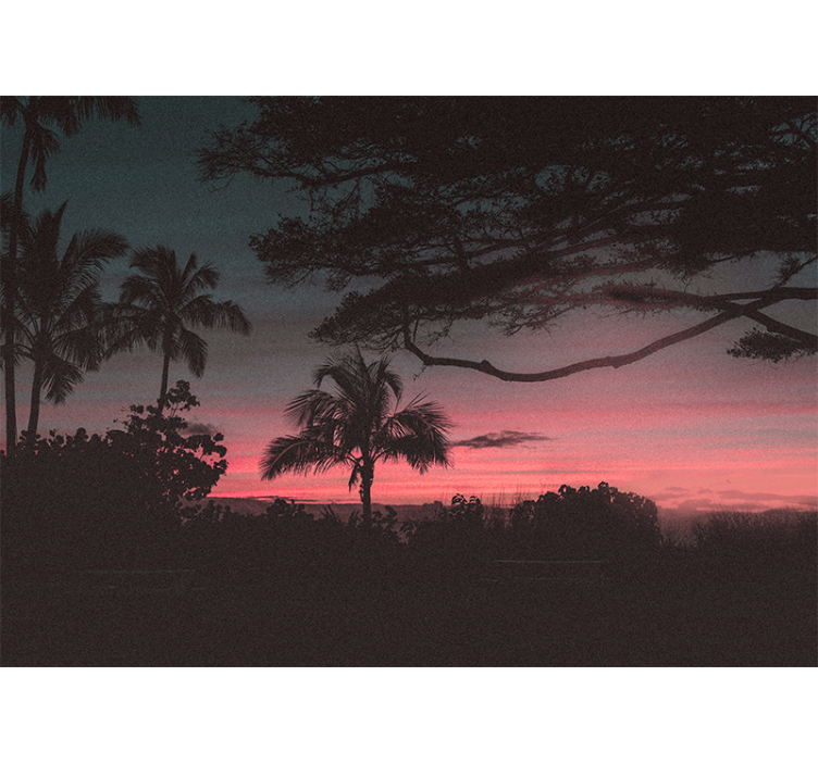 Tropical sunset silhouette stenske poslikave - TenStickers