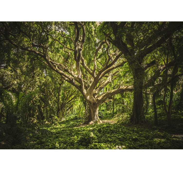 Zelena začarana gozdna narava stenska poslikava - TenStickers