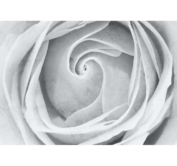Elegant rose spiral fototapete s cvetjem - TenStickers