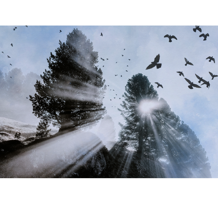 Radiant orest rays with birds fototapeta gozd - TenStickers