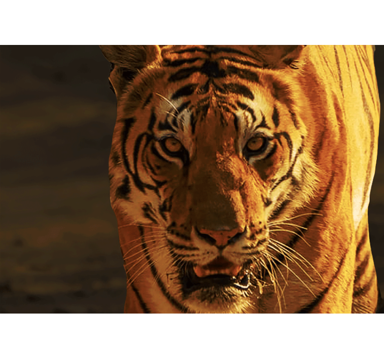 Fototapeta z levom kraljevski pogled tigra - TenStickers