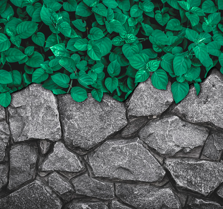 Listje in kamniListje in kamni Fototapete za dnevno sobo - TenStickers