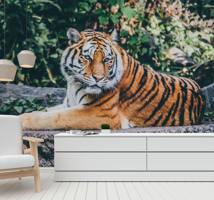 3d tiger, ki leži na stenski freski - TenStickers