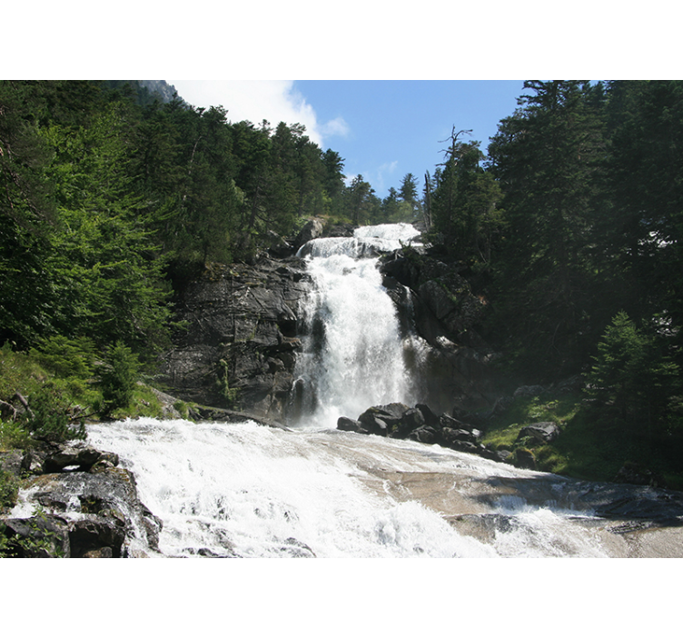 čudovit stenski zidni fototapeta - TenStickers