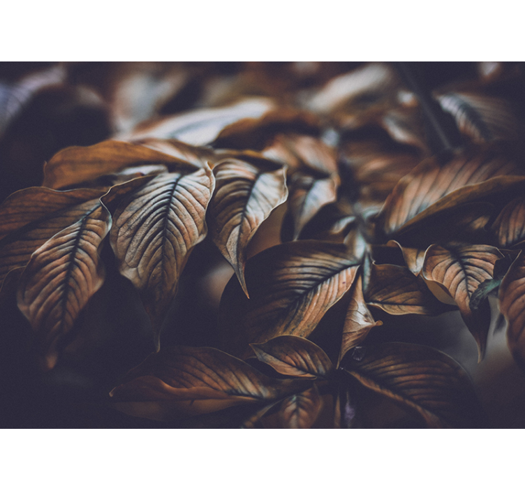 Zlati listi naravna stenska stena - TenStickers