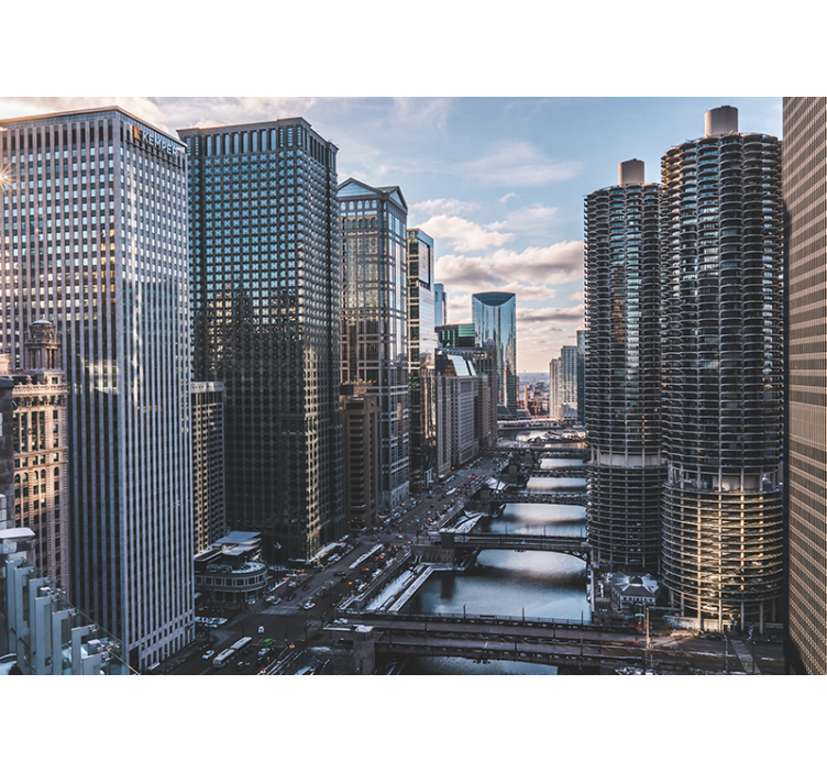 Stenska stena chicago - TenStickers