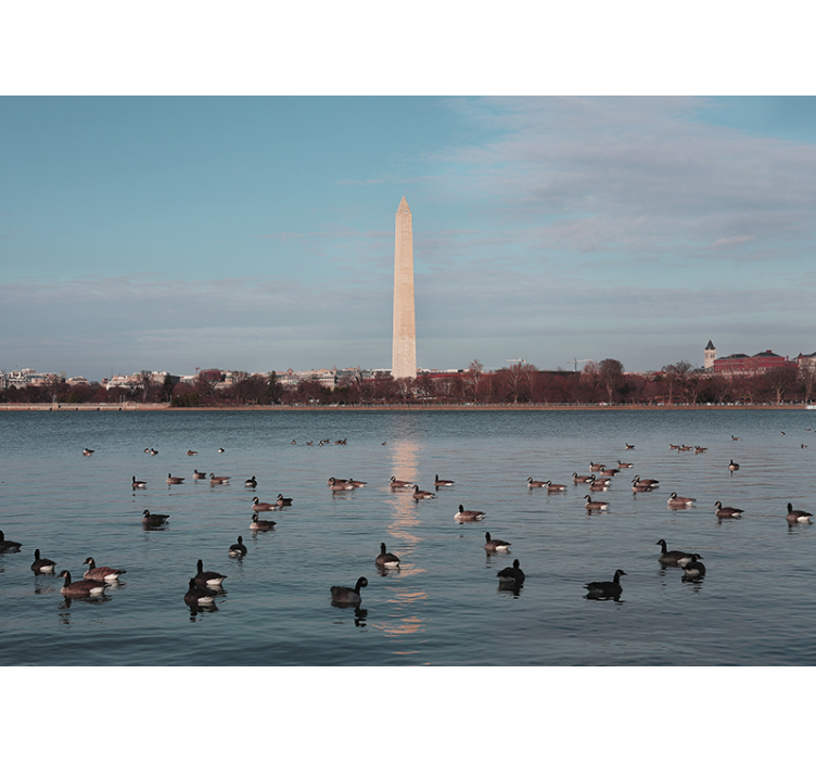 Washington monument reflection fototapeta mest in držav - TenStickers