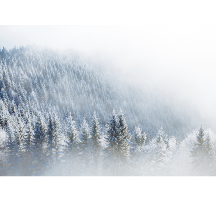 Majestic winter woods fototapeta gozd - TenStickers