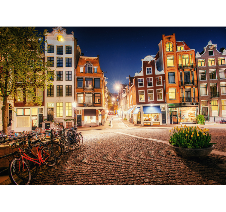 Charming amsterdam street fototapeta - TenStickers