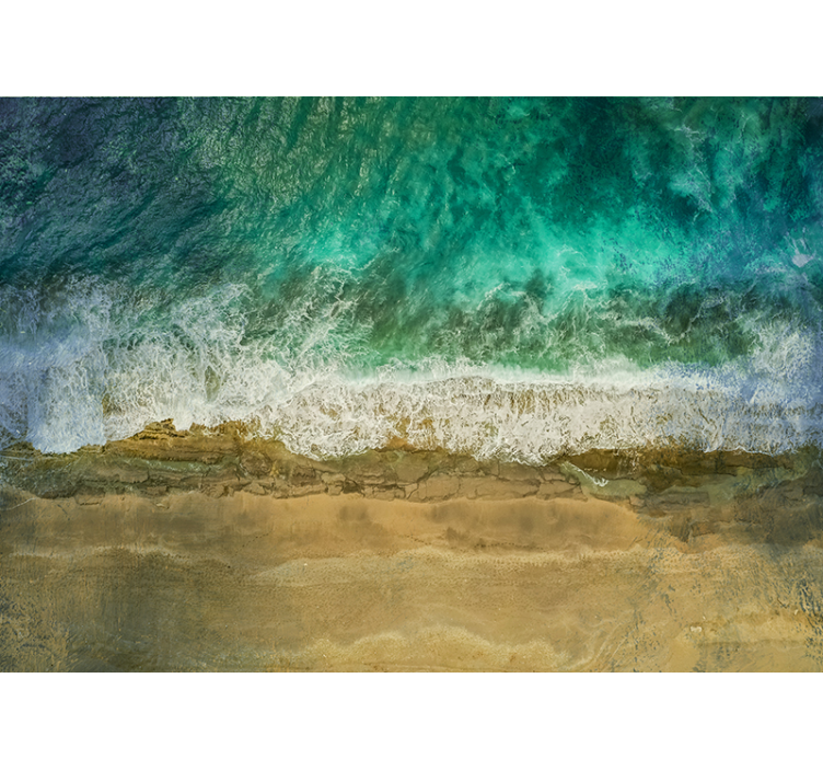 Coastal plant display fototapete narava - TenStickers