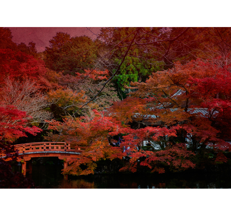 Autumn serenity fototapete narava - TenStickers