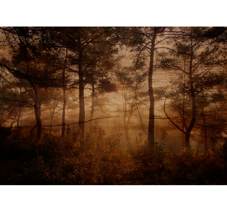 Foggy woodland view fototapeta gozd - TenStickers