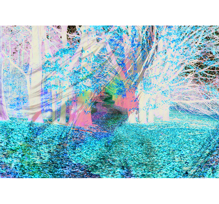 Jesenska pot Fototapeta Gozd - TenStickers