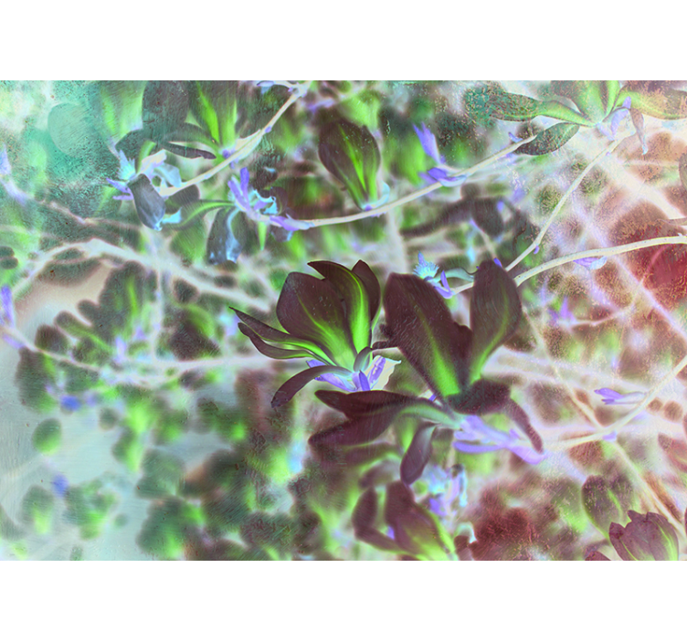 Stenska fototapeta magnolija rožnatega cvetja - TenStickers